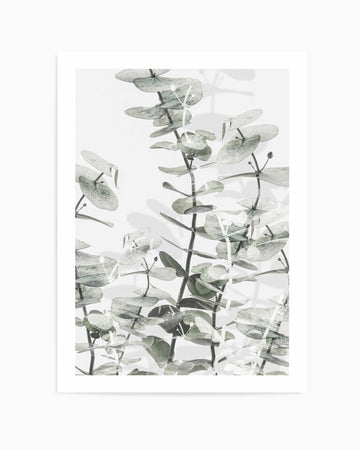 Eucalyptus I By Studio III | Art Print from Olive et Oriel where you can shop wallpaper and artworks online