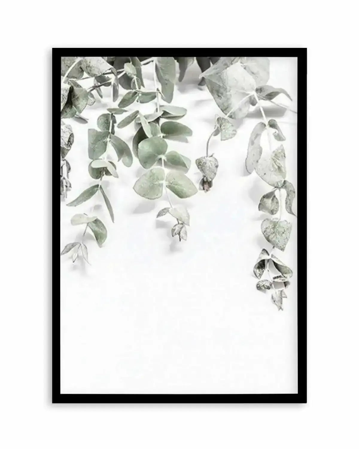 Eucalyptus II Art Print from Olive et Oriel where you can shop wallpaper and artworks online