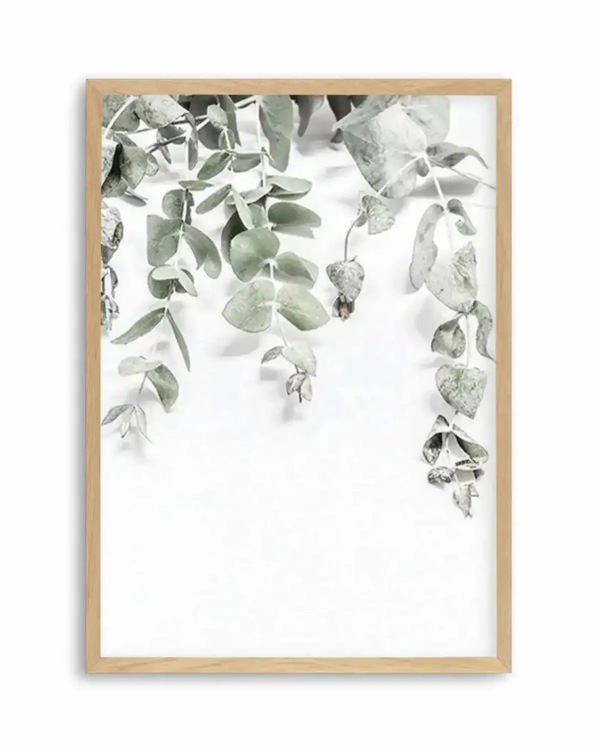 Eucalyptus II Art Print from Olive et Oriel where you can shop wallpaper and artworks online