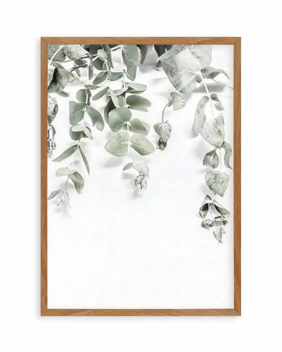 Eucalyptus II Art Print from Olive et Oriel where you can shop wallpaper and artworks online