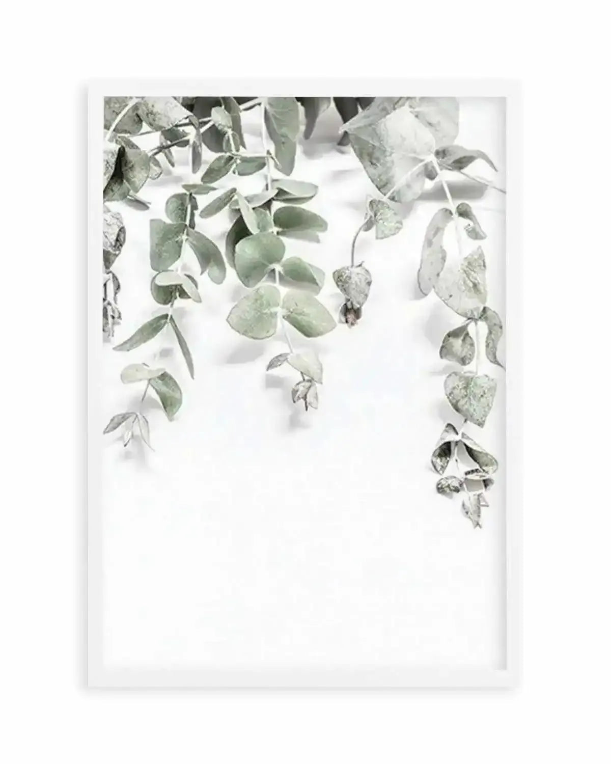 Eucalyptus II Art Print from Olive et Oriel where you can shop wallpaper and artworks online