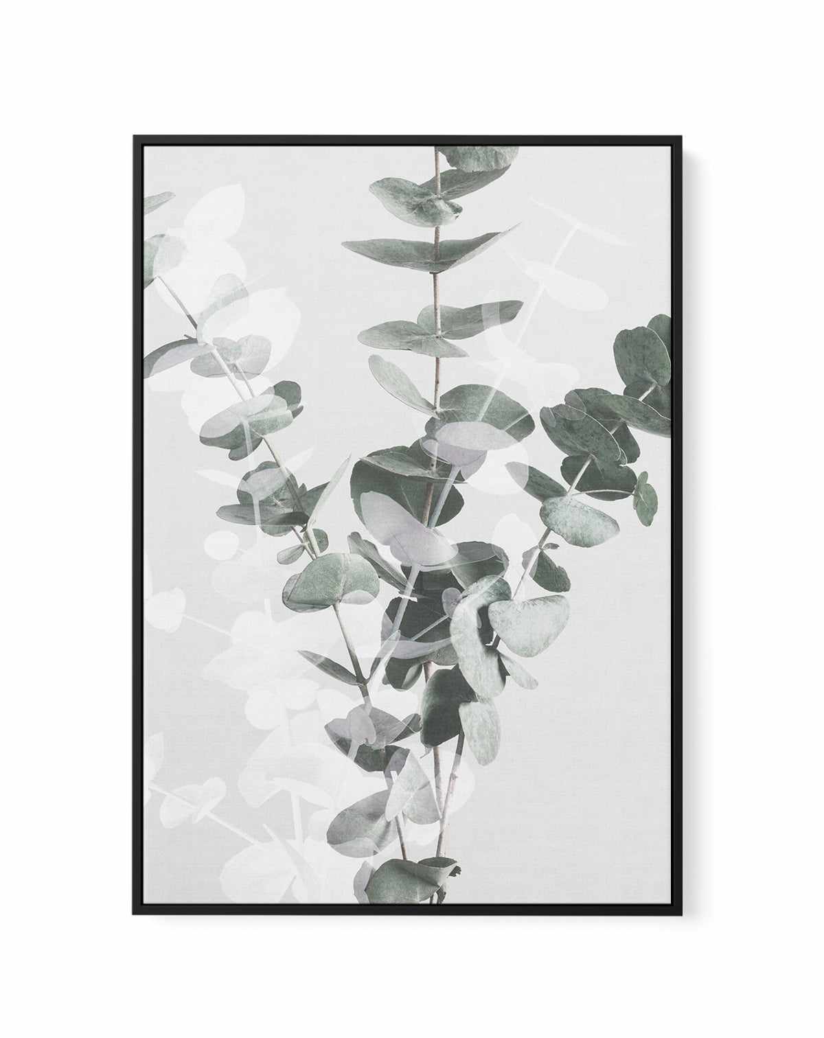 Eucalyptus II By Studio III | Framed Canvas Art Print