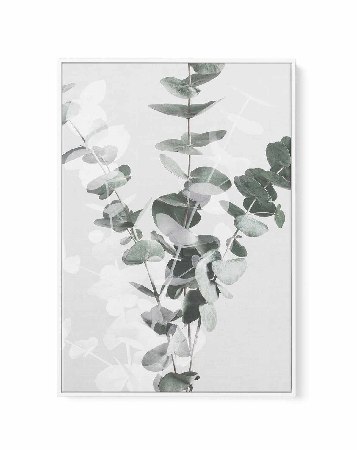 Eucalyptus II By Studio III | Framed Canvas Art Print