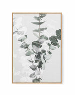 Eucalyptus II By Studio III | Framed Canvas Art Print