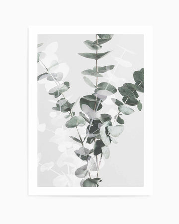 Eucalyptus II By Studio III | Art Print from Olive et Oriel where you can shop wallpaper and artworks online