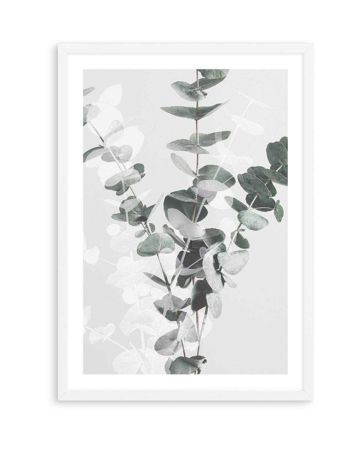 Eucalyptus II By Studio III | Art Print