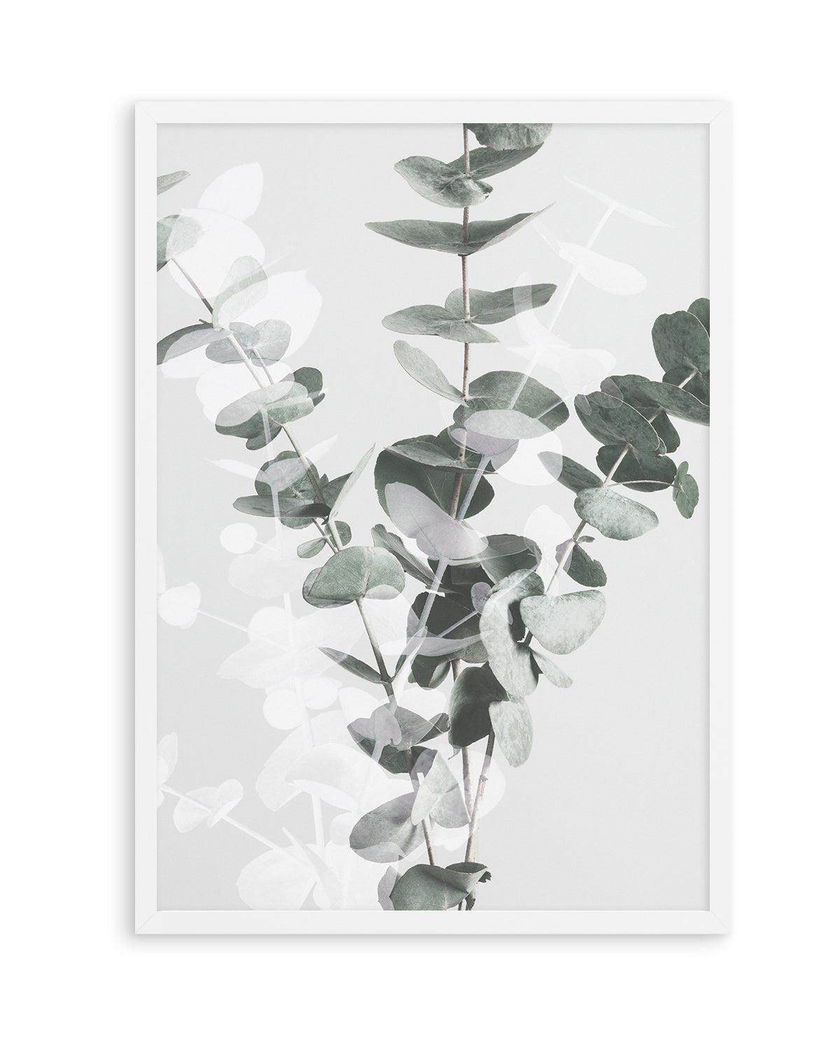 Eucalyptus II By Studio III | Art Print