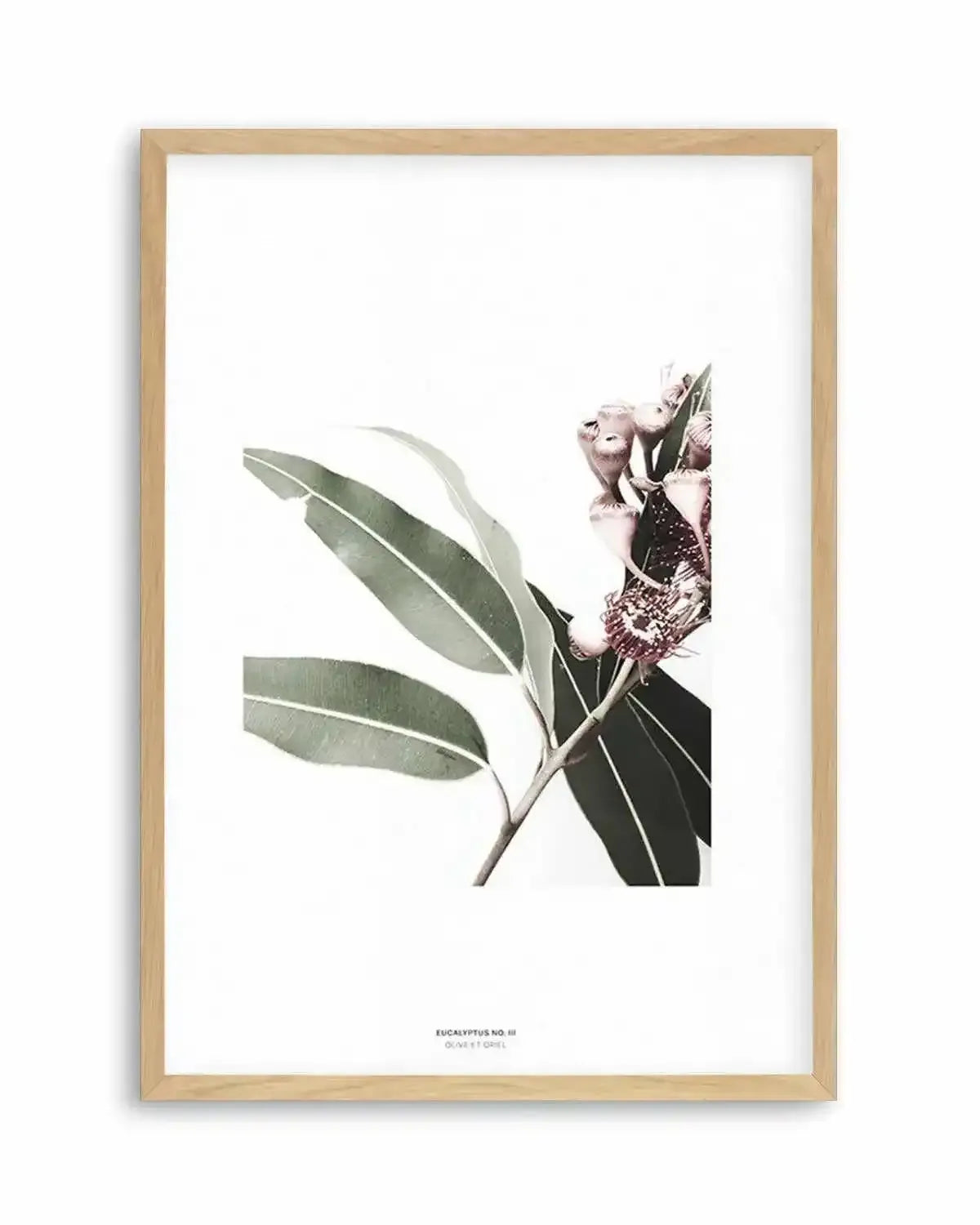 Eucalyptus III Art Print from Olive et Oriel where you can shop wallpaper and artworks online