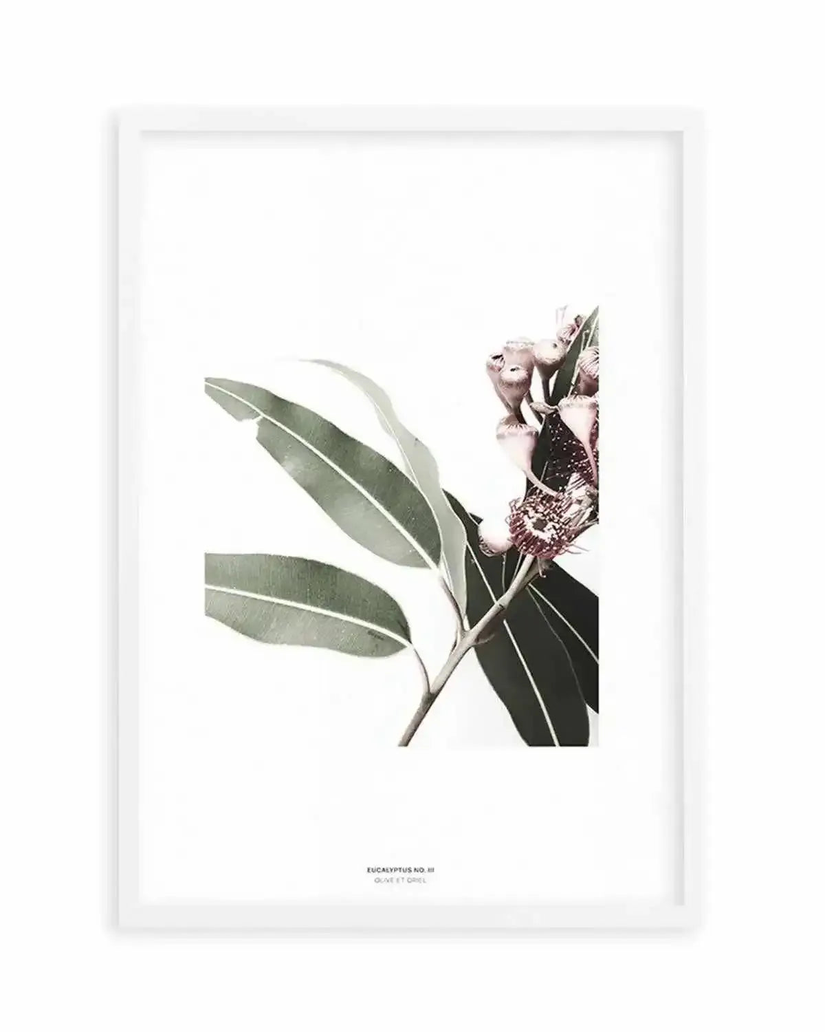 Eucalyptus III Art Print from Olive et Oriel where you can shop wallpaper and artworks online