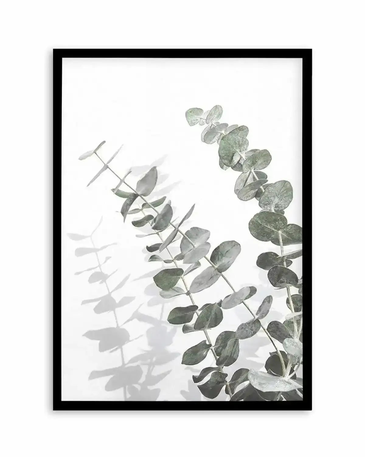 Eucalyptus IV Art Print from Olive et Oriel where you can shop wallpaper and artworks online