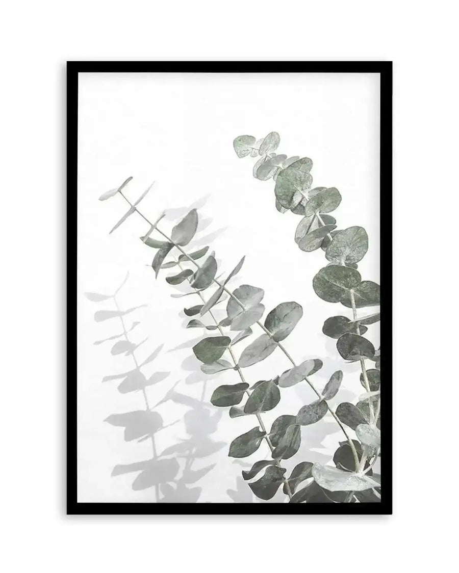 Eucalyptus IV Art Print art print, framed