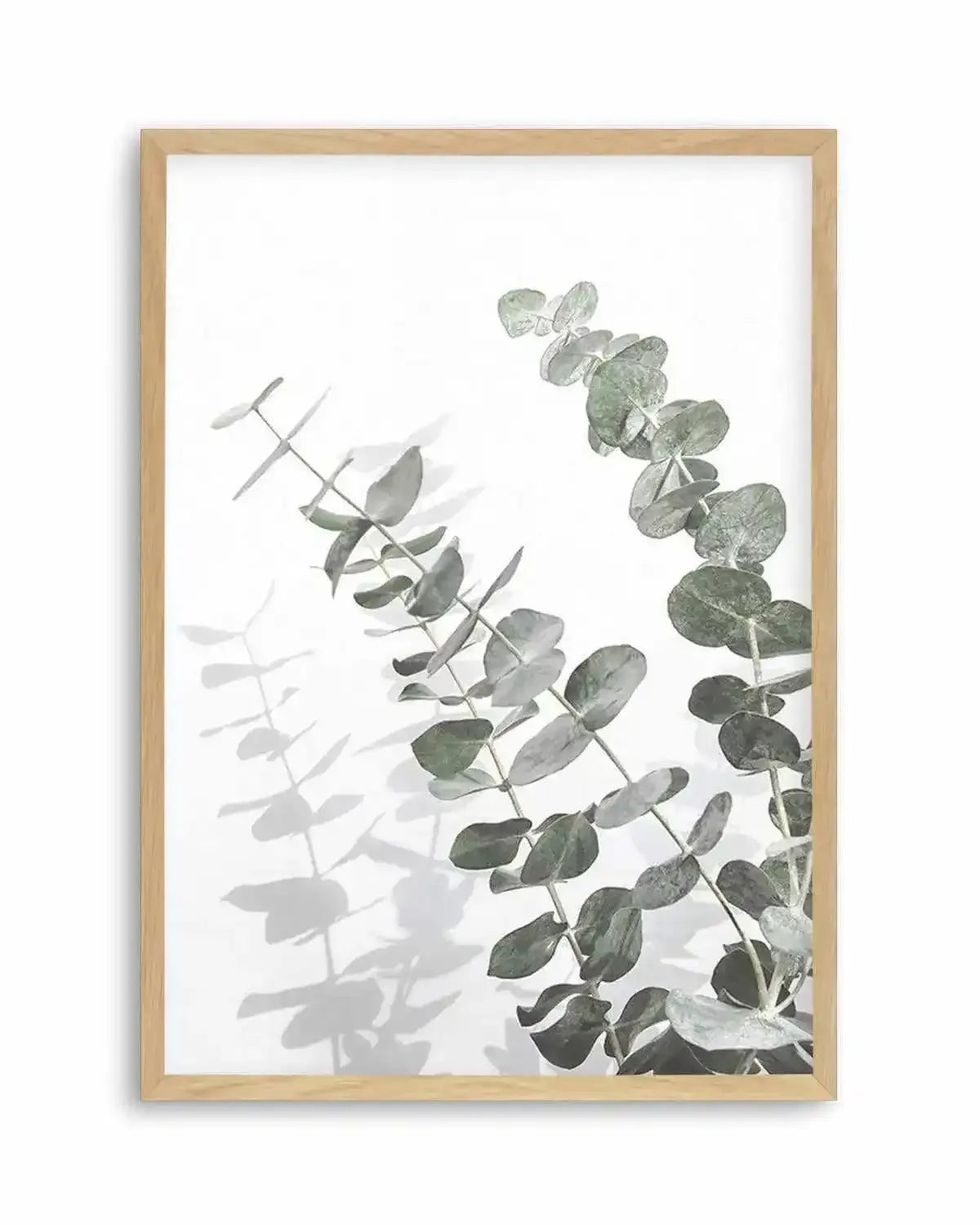 Eucalyptus IV Art Print from Olive et Oriel where you can shop wallpaper and artworks online