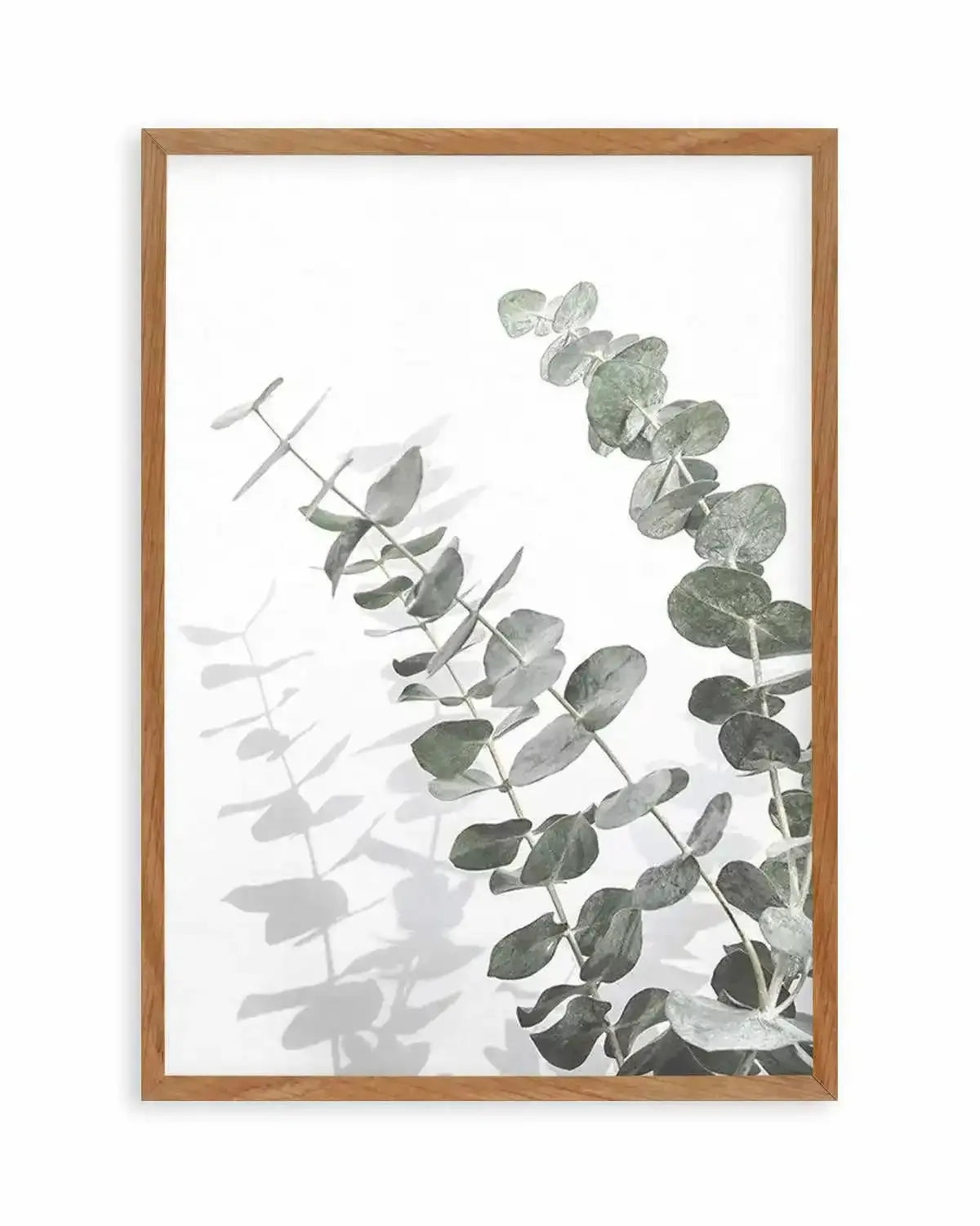 Eucalyptus IV Art Print from Olive et Oriel where you can shop wallpaper and artworks online