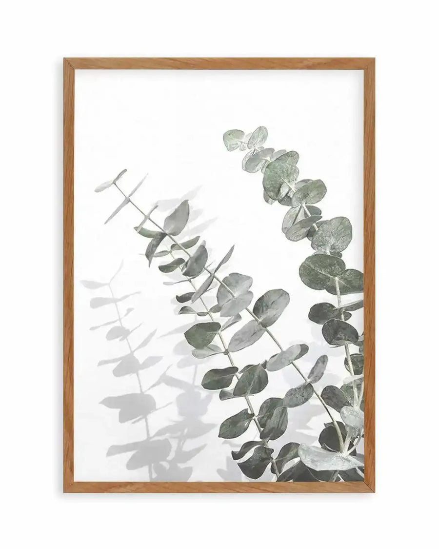 Eucalyptus IV Art Print art print, framed
