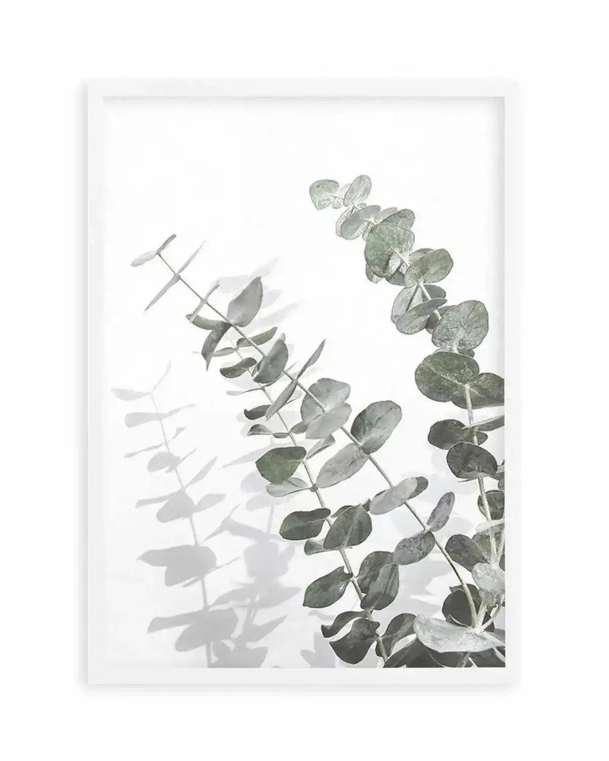 Eucalyptus IV Art Print from Olive et Oriel where you can shop wallpaper and artworks online
