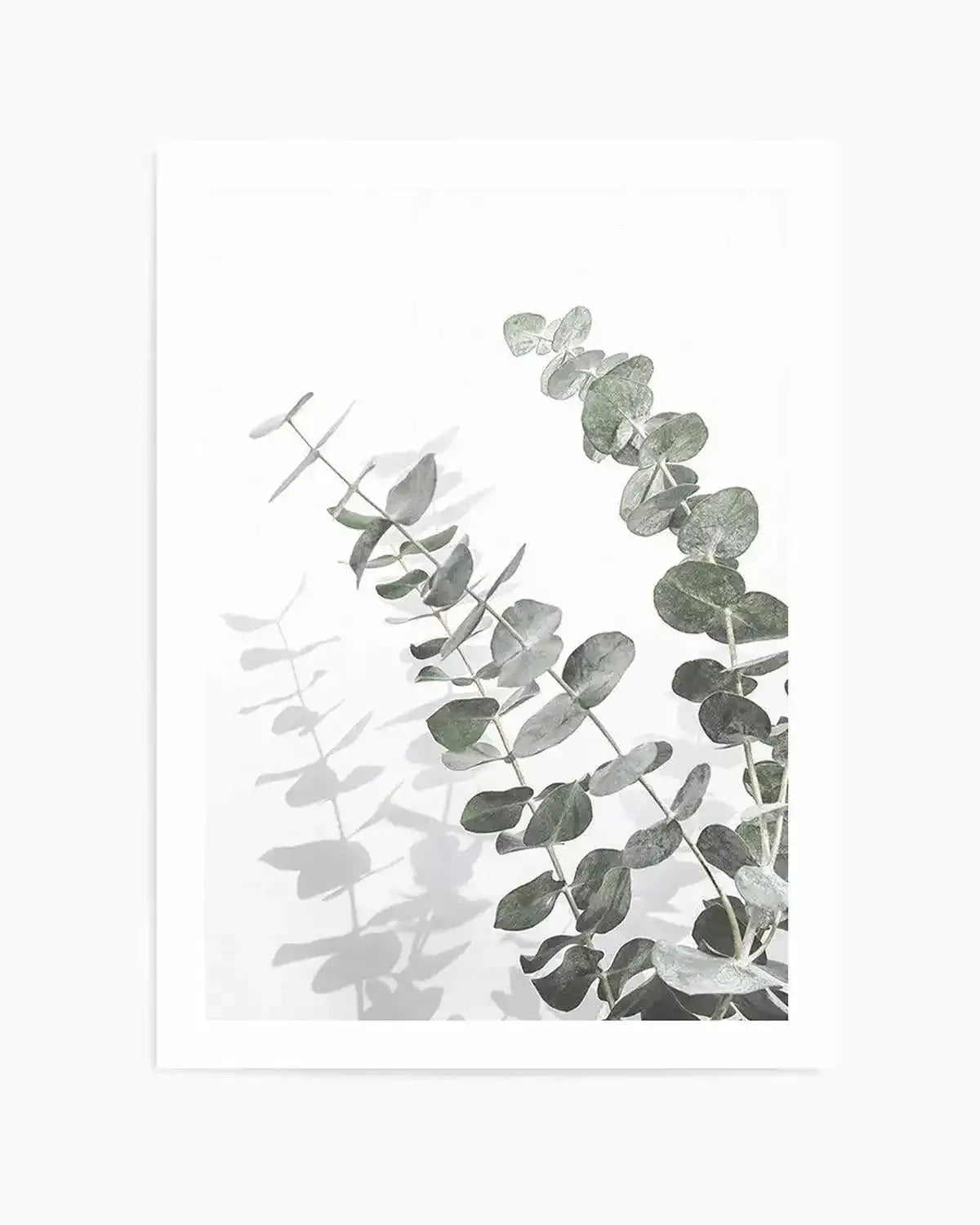 Eucalyptus IV Art Print from Olive et Oriel where you can shop wallpaper and artworks online