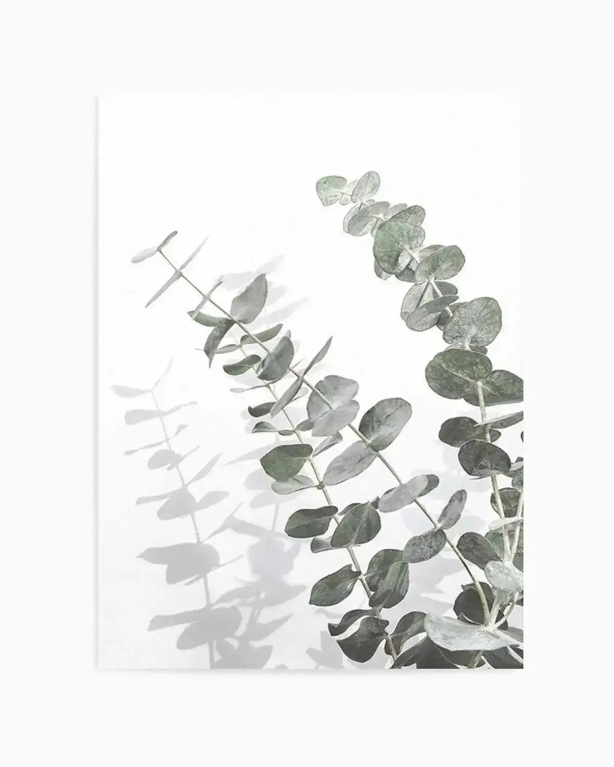 Eucalyptus IV Art Print from Olive et Oriel where you can shop wallpaper and artworks online