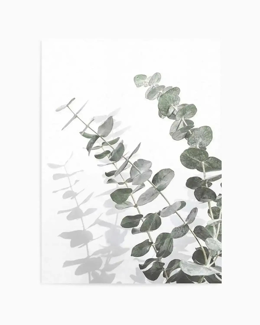 Eucalyptus IV Art Print art print, framed
