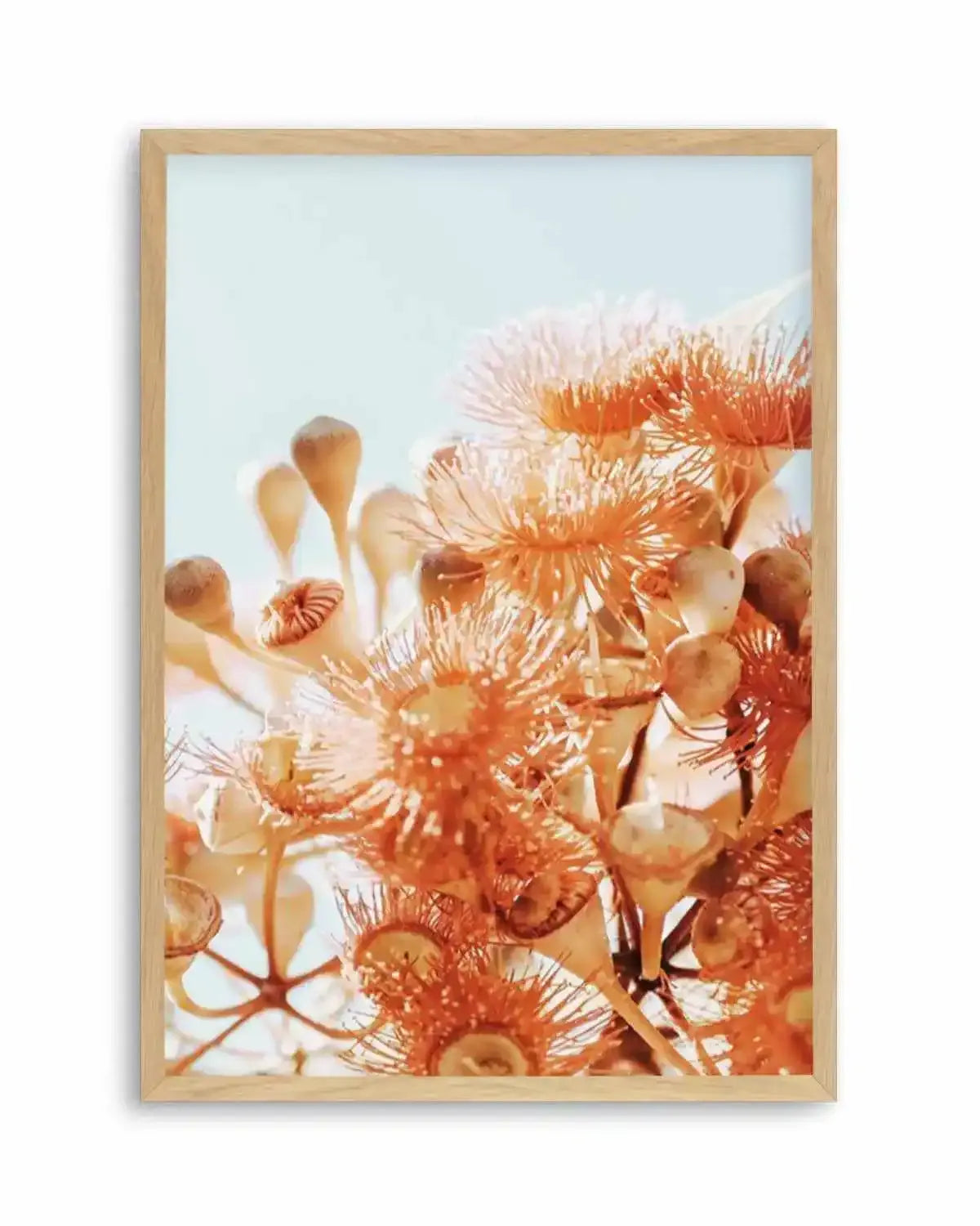 Eucalyptus In Bloom III | PT Art Print from Olive et Oriel where you can shop wallpaper and artworks online