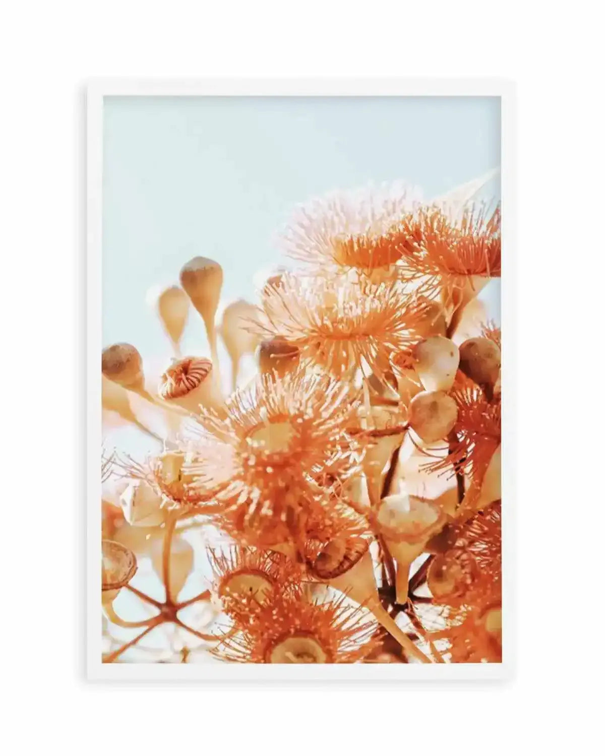 Eucalyptus In Bloom III | PT Art Print from Olive et Oriel where you can shop wallpaper and artworks online