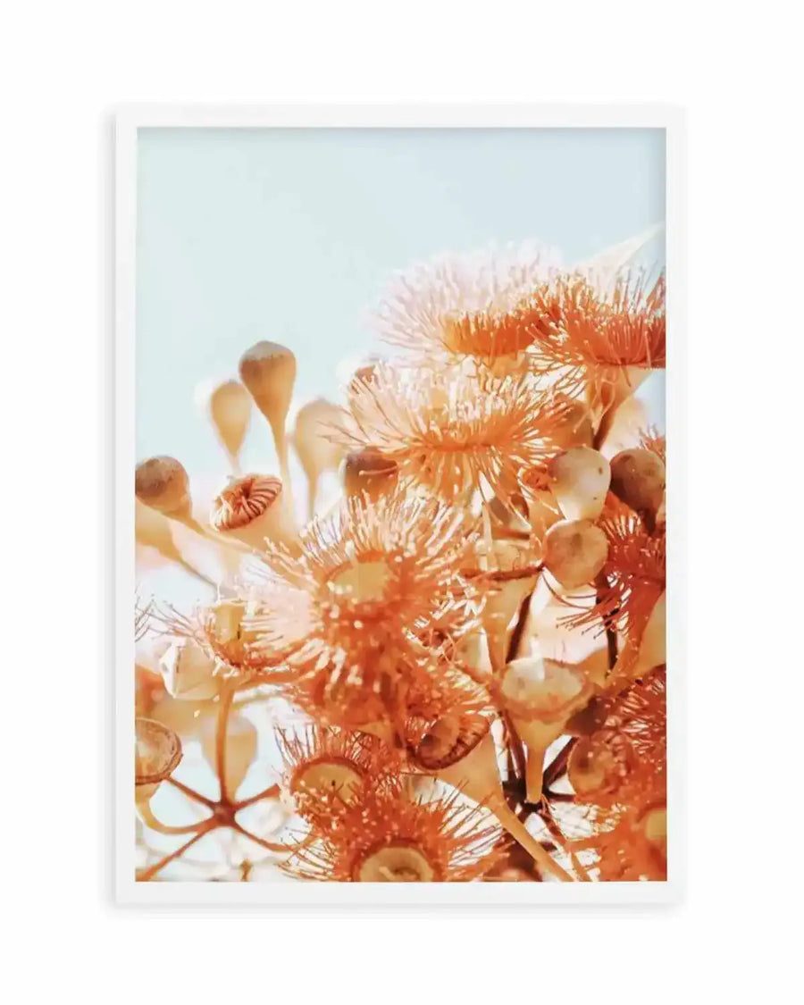 Eucalyptus In Bloom III | PT Art Print from Olive et Oriel where you can shop wallpaper and artworks online