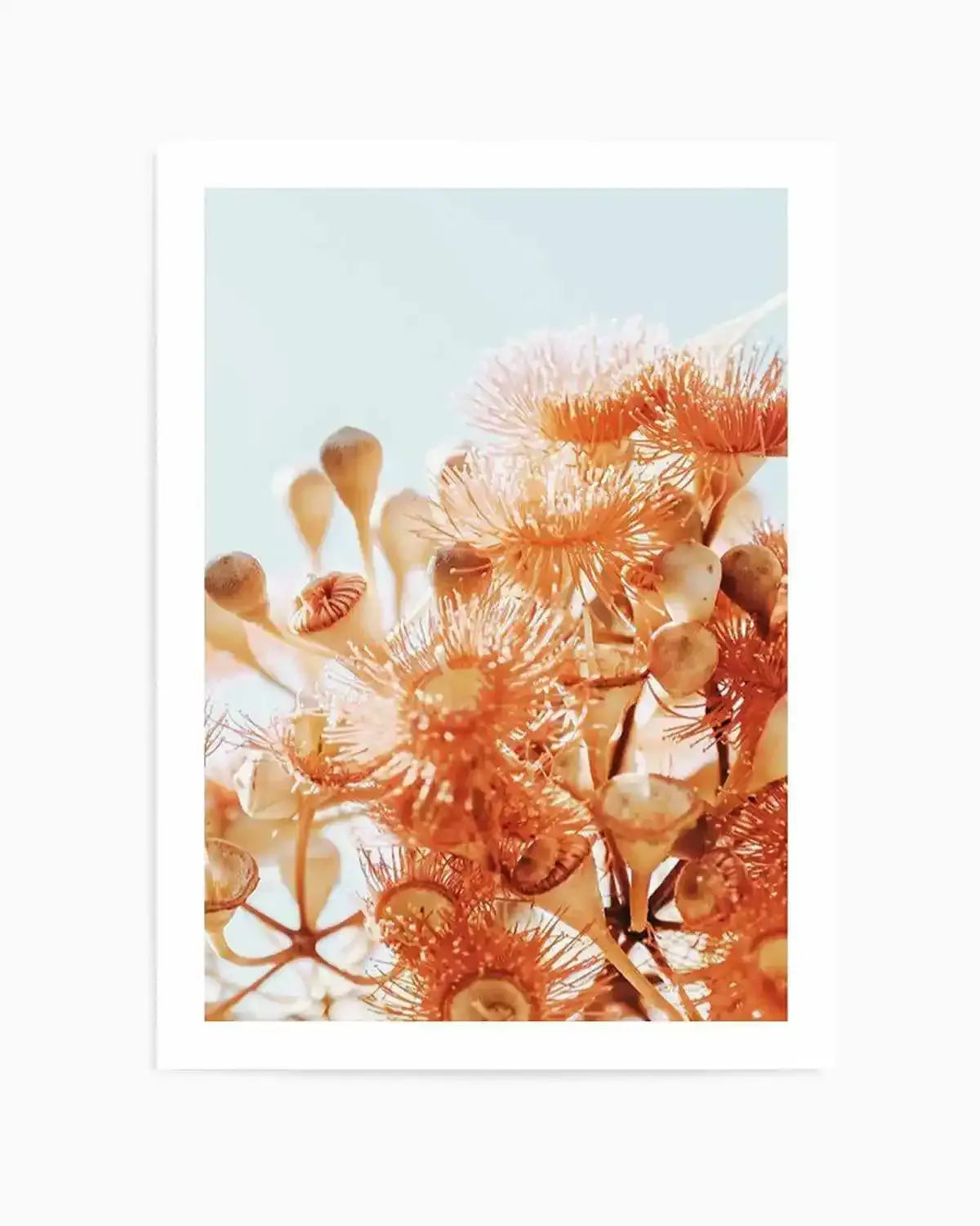 Eucalyptus In Bloom III | PT Art Print from Olive et Oriel where you can shop wallpaper and artworks online