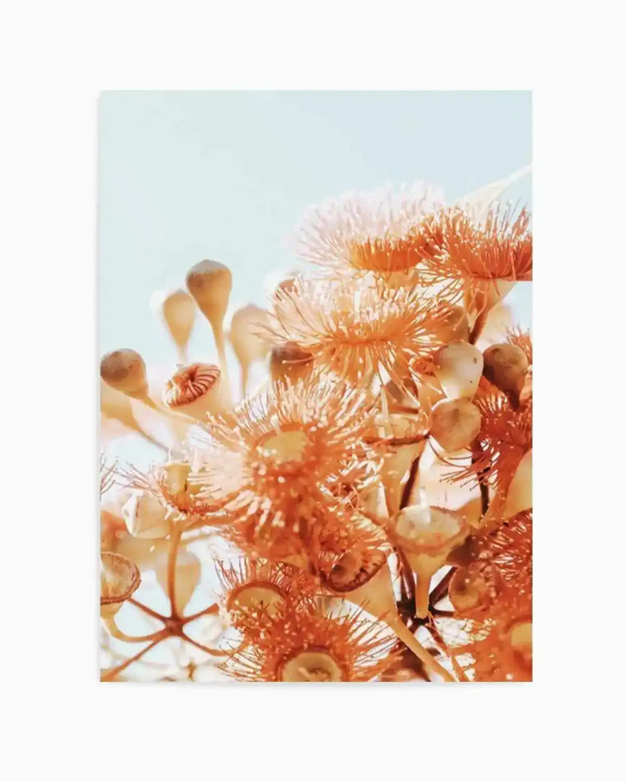 Eucalyptus In Bloom III | PT Art Print from Olive et Oriel where you can shop wallpaper and artworks online