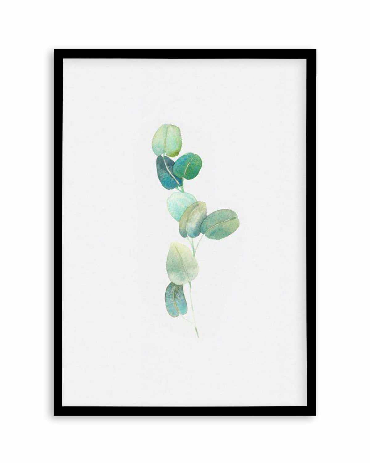 Eucalyptus In Watercolour Art Print