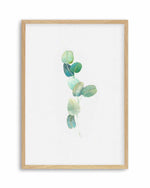 Eucalyptus In Watercolour Art Print