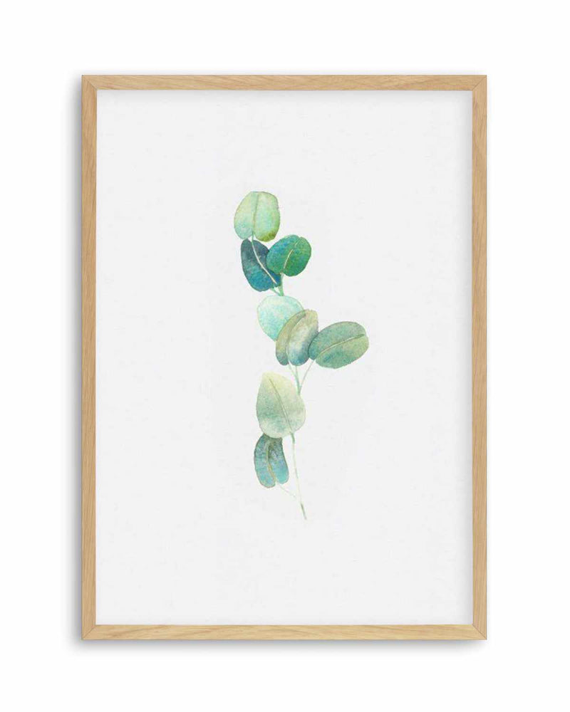 Eucalyptus In Watercolour Art Print