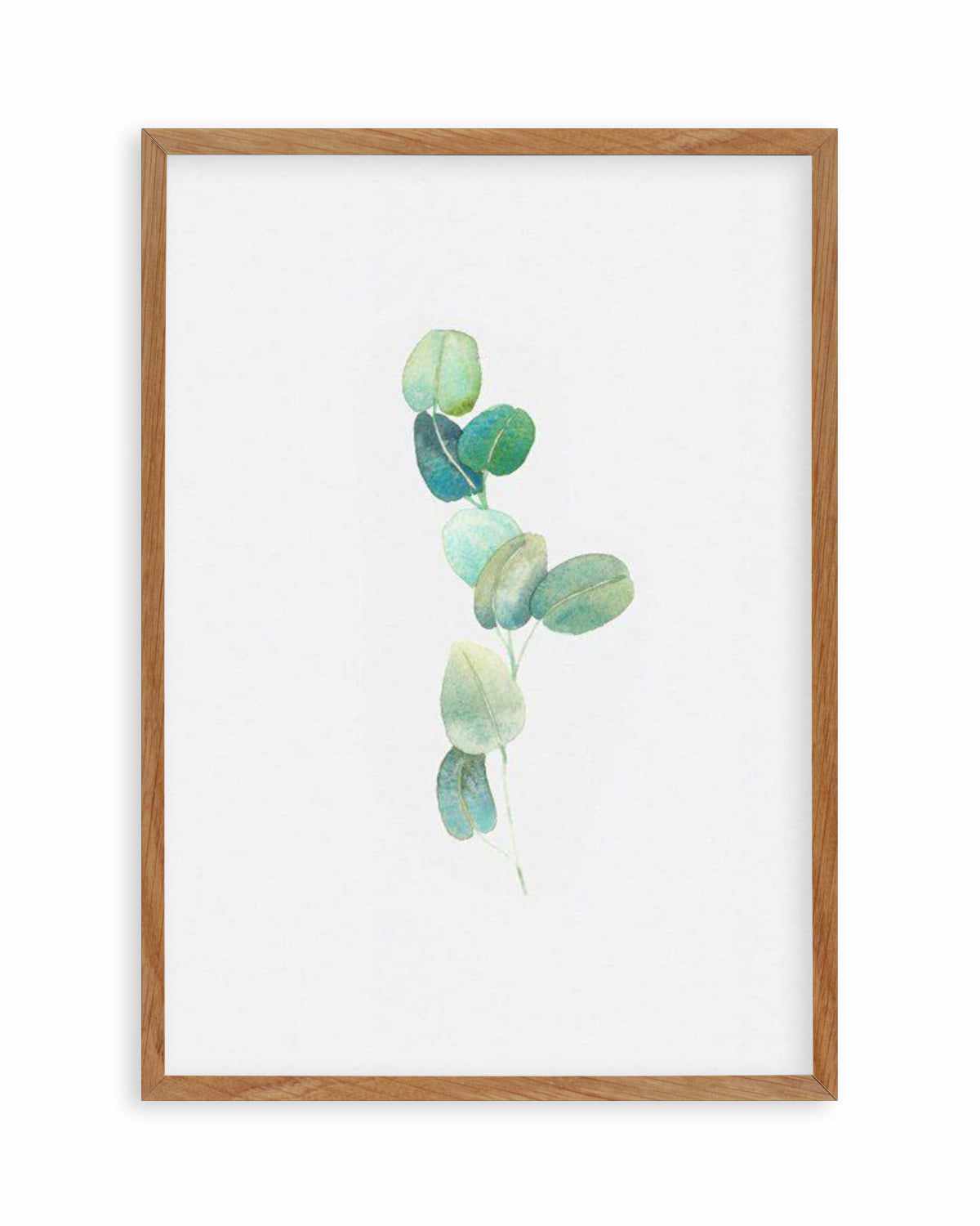 Eucalyptus In Watercolour Art Print