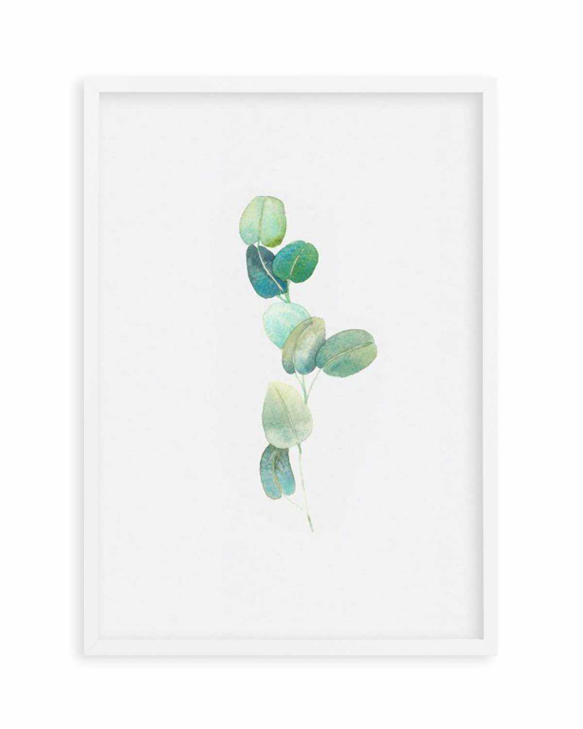 Eucalyptus In Watercolour Art Print