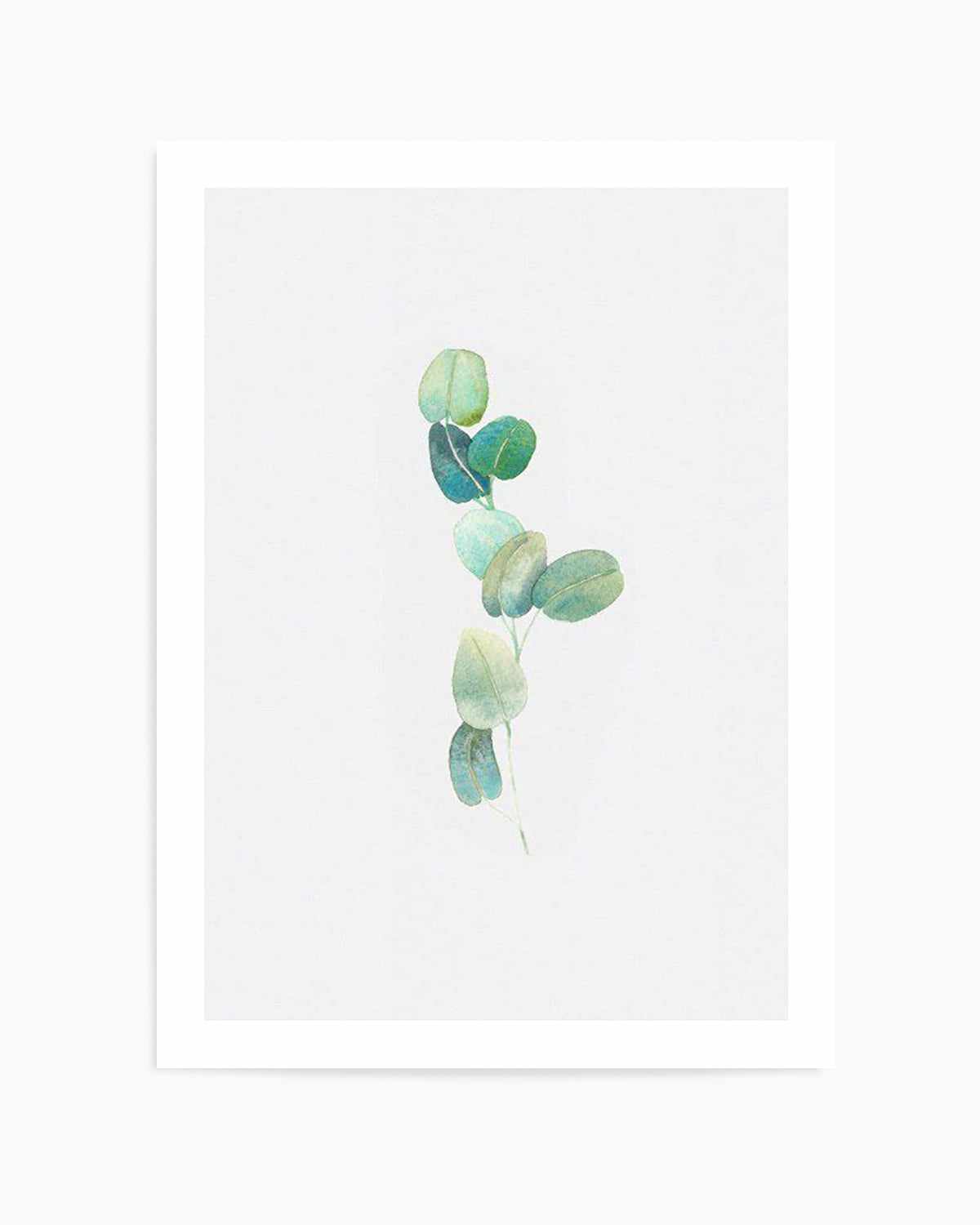 Eucalyptus In Watercolour Art Print