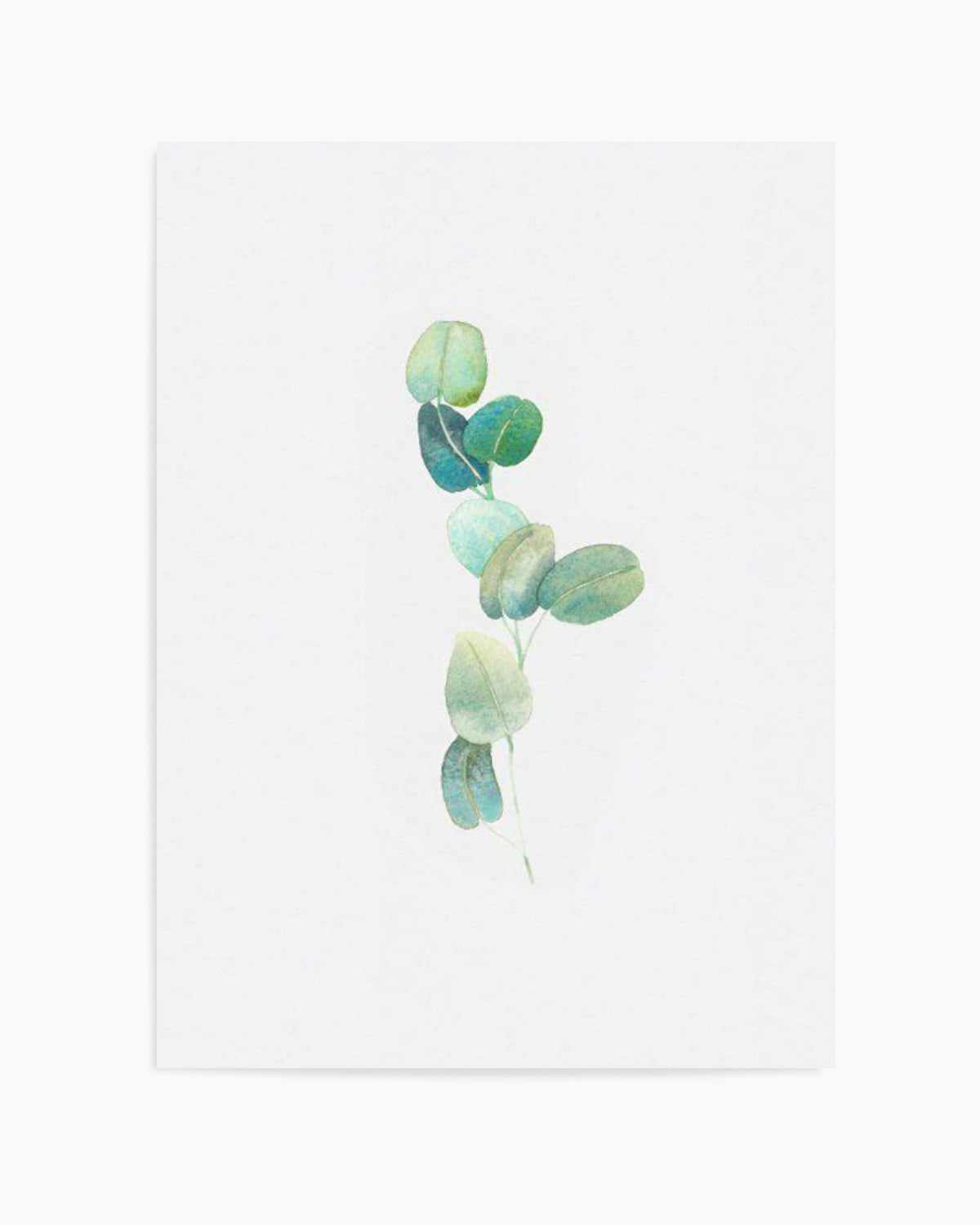 Eucalyptus In Watercolour Art Print