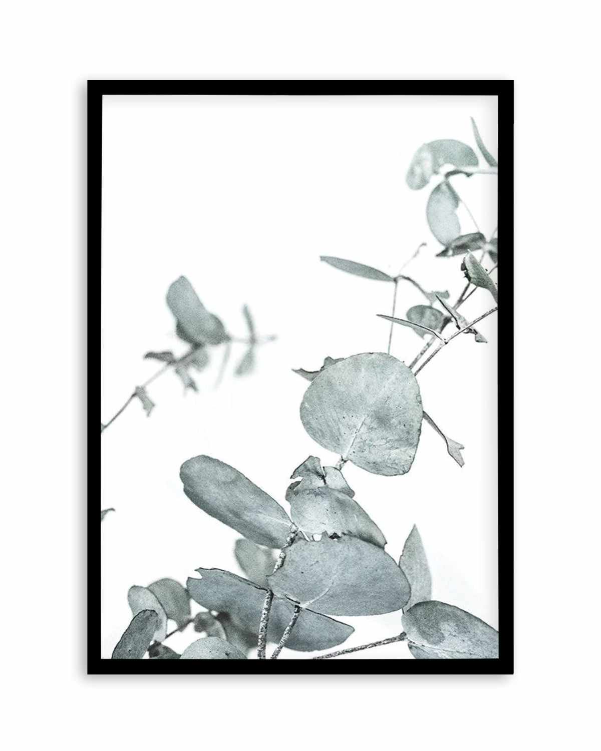 Eucalyptus Leaves I Art Print