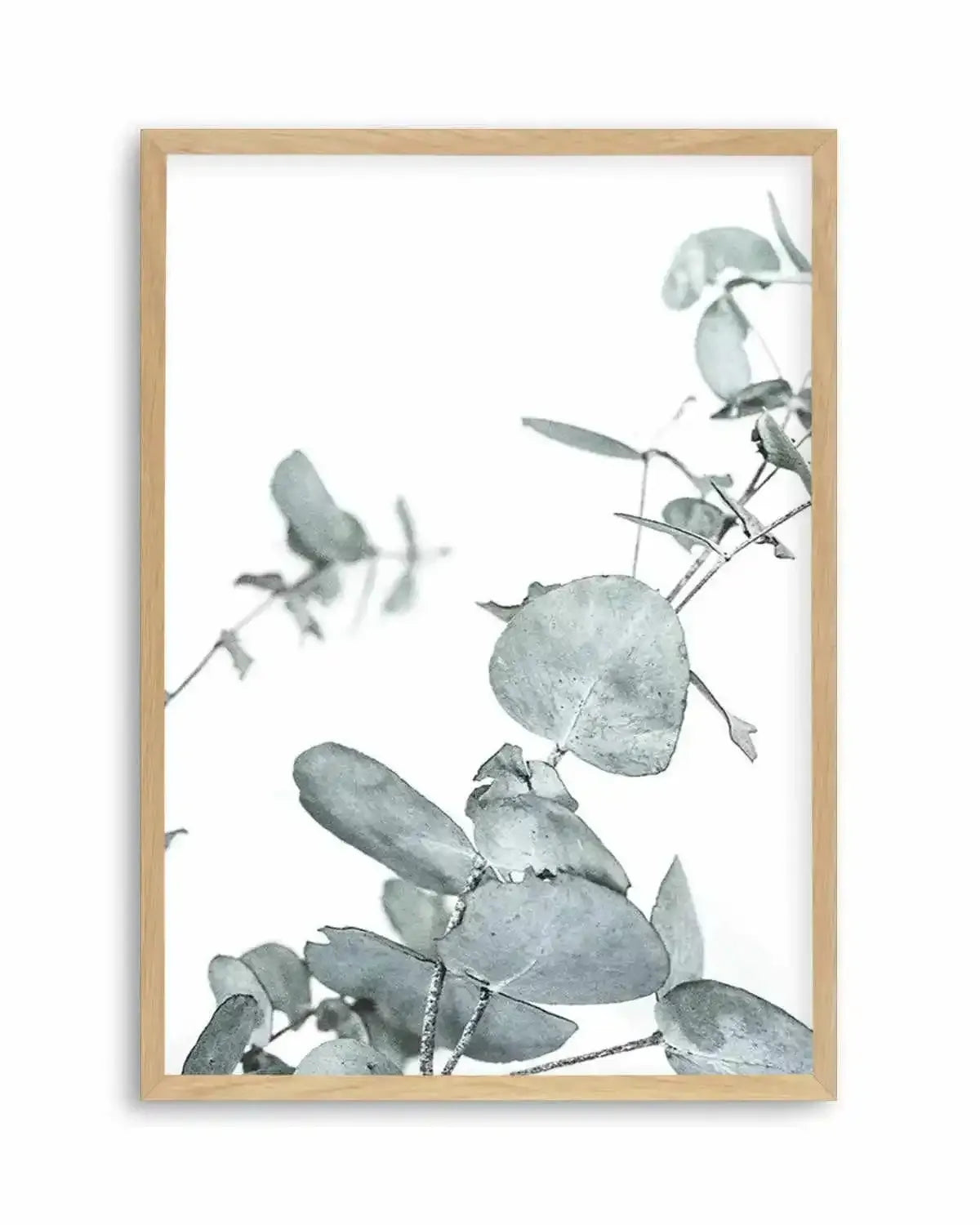 Eucalyptus Leaves I Art Print from Olive et Oriel where you can shop wallpaper and artworks online