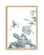 Eucalyptus Leaves I Art Print