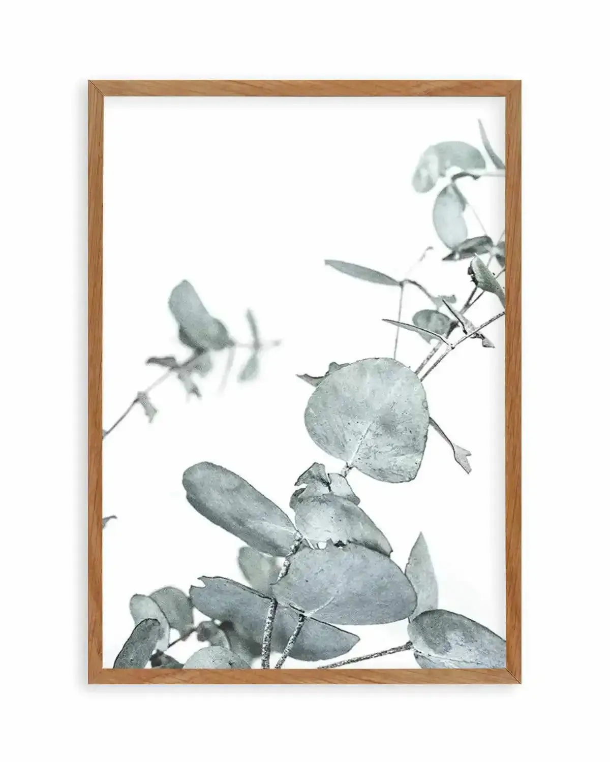 Eucalyptus Leaves I Art Print from Olive et Oriel where you can shop wallpaper and artworks online