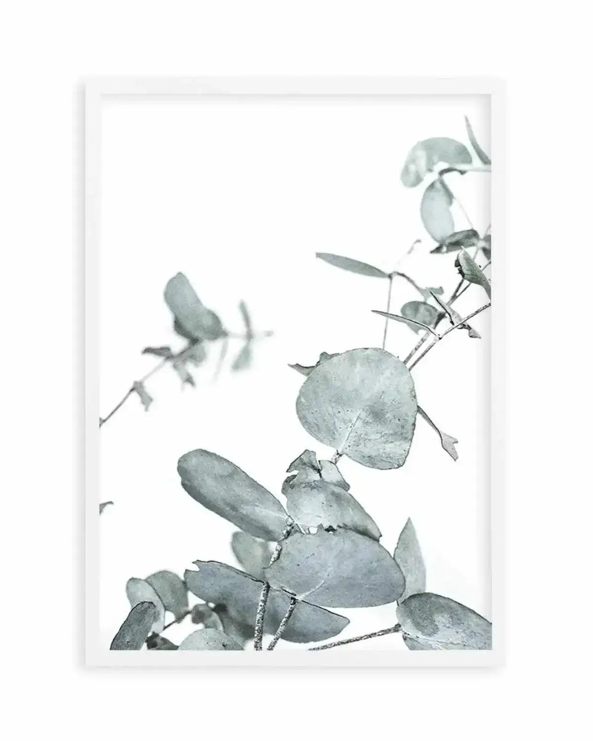 Eucalyptus Leaves I Art Print from Olive et Oriel where you can shop wallpaper and artworks online