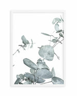 Eucalyptus Leaves I Art Print