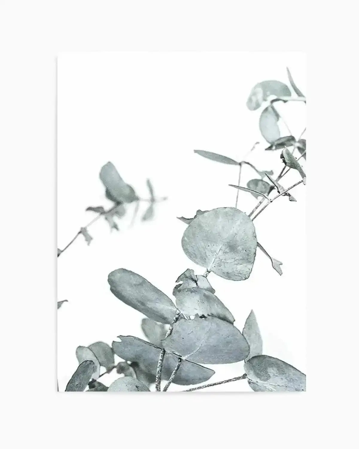 Eucalyptus Leaves I Art Print from Olive et Oriel where you can shop wallpaper and artworks online