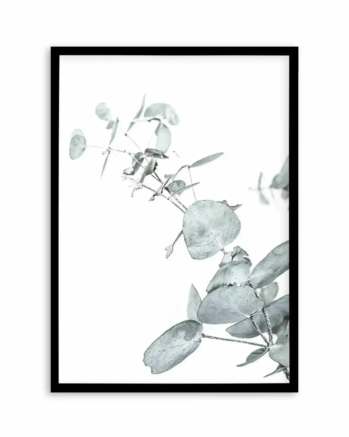 Eucalyptus Leaves II Art Print from Olive et Oriel where you can shop wallpaper and artworks online
