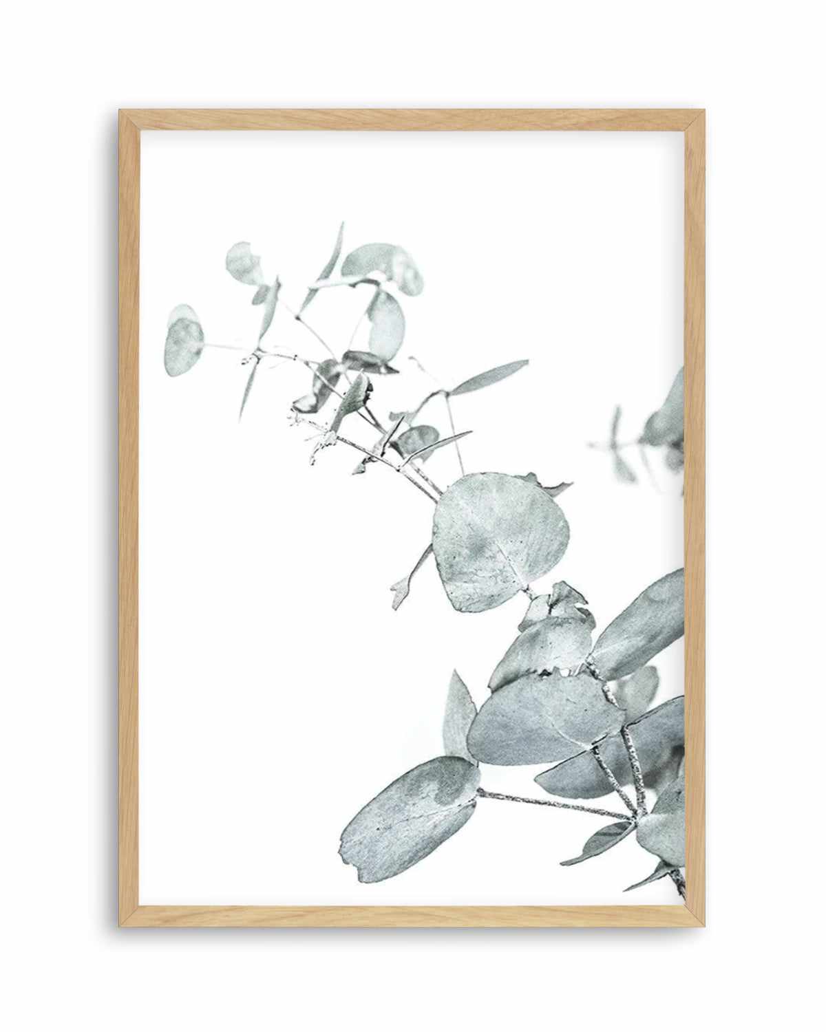 SHOP NOW Eucalyptus Leaves II Photographic Art Print or Poster – Olive ...