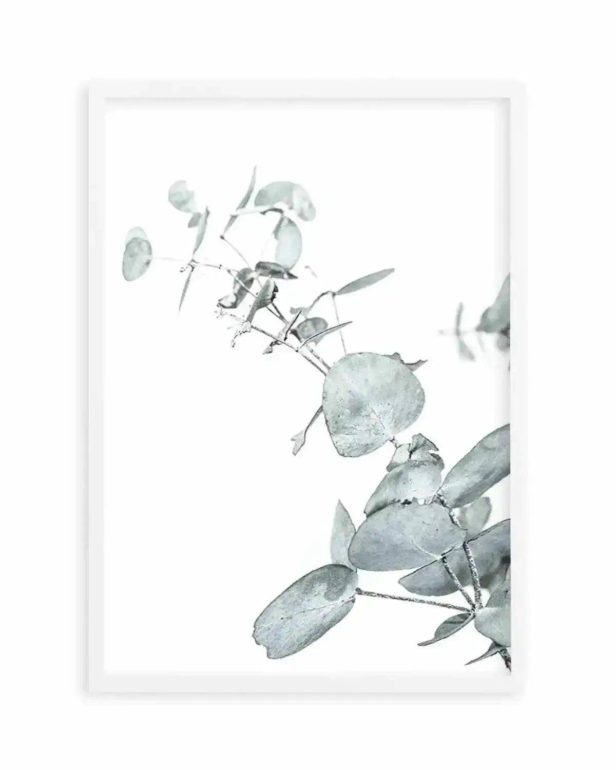 Eucalyptus Leaves II Art Print from Olive et Oriel where you can shop wallpaper and artworks online
