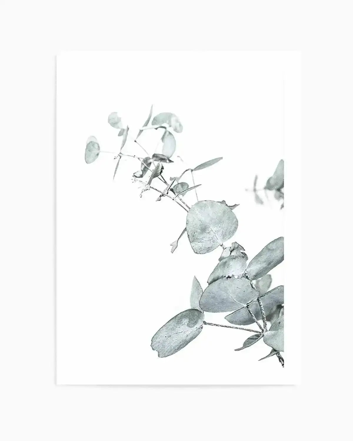 Eucalyptus Leaves II Art Print from Olive et Oriel where you can shop wallpaper and artworks online
