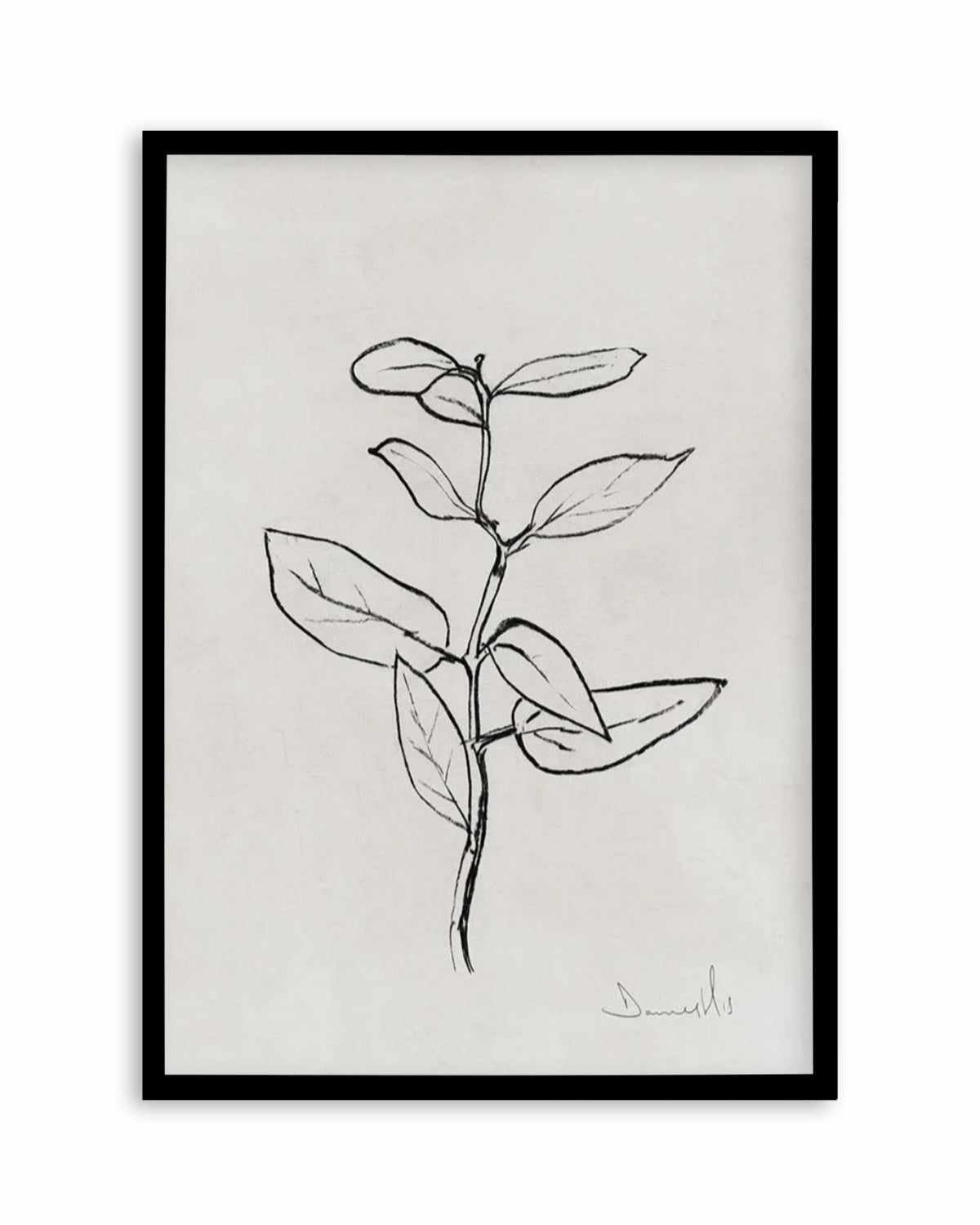 Eucalyptus Sapling by Dan Hobday Art Print