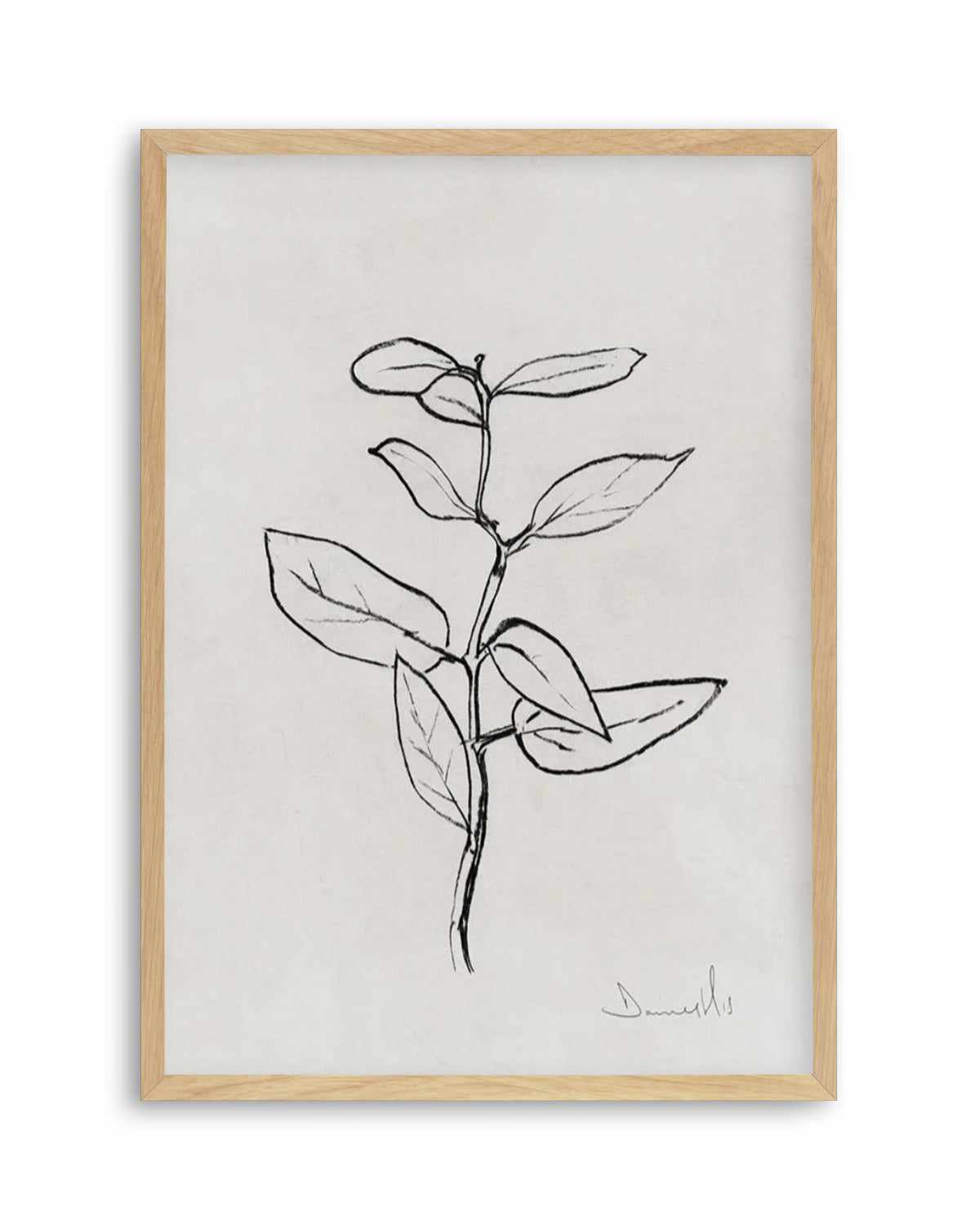 Eucalyptus Sapling by Dan Hobday Art Print