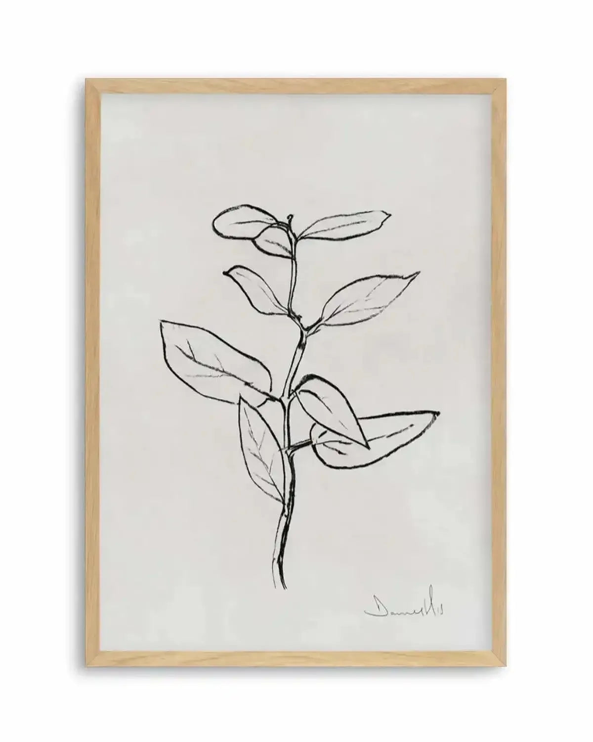 Eucalyptus Sapling by Dan Hobday Art Print from Olive et Oriel where you can shop wallpaper and artworks online