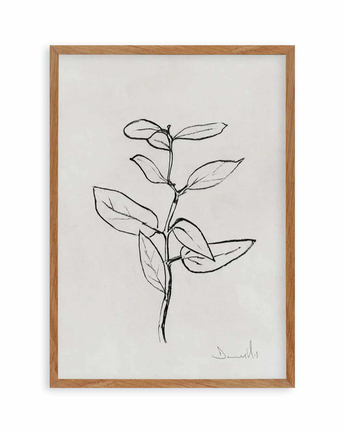 Eucalyptus Sapling by Dan Hobday Art Print