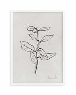Eucalyptus Sapling by Dan Hobday Art Print